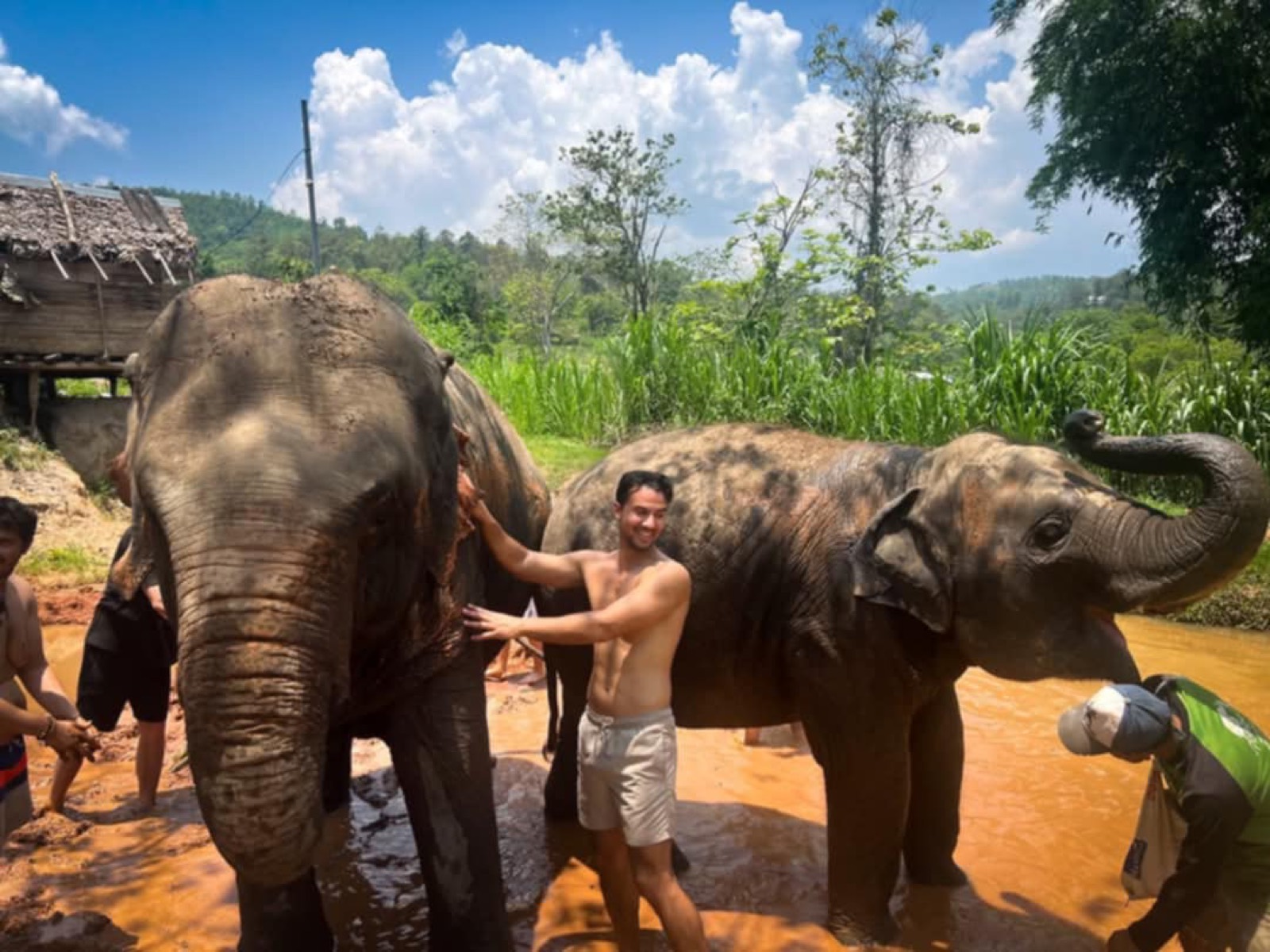 Half Day Mae Wang Elephant Care