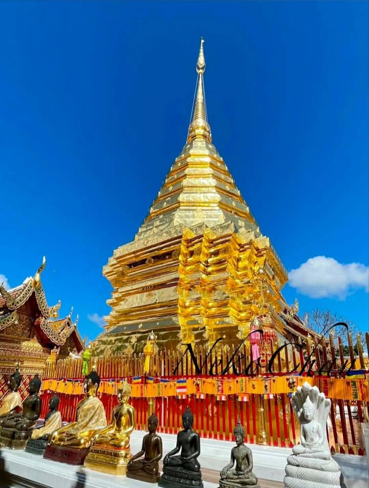 Doi Suthep & Wat Pha Lat Half-Day Experience
