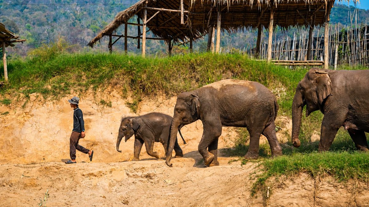 CHIANGMAI SMART TOURS
