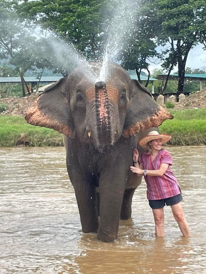 ELH01 – Elephant Half Day Experience with Buffet Lunch